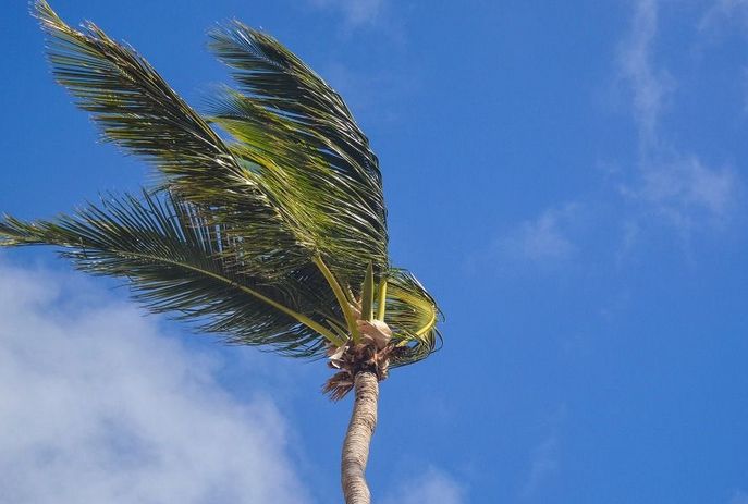 Bonito de Santa Fé, Monte Horebe e mais 81 cidades da Paraíba estão sob alerta de vendaval