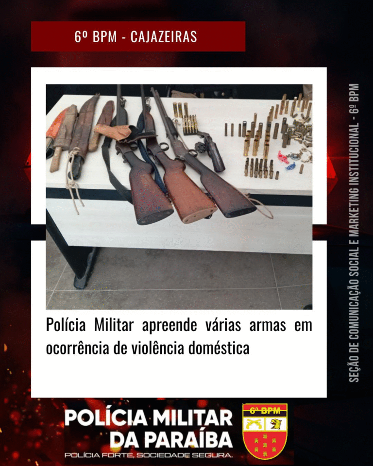 Polícia Militar apreende várias armas em ocorrência de violência doméstica