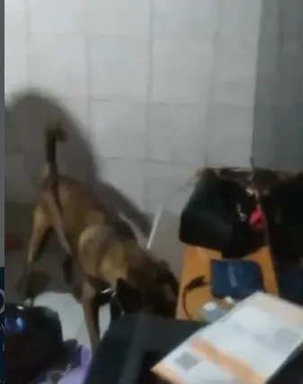 Tráfico de drogas: dupla é presa com entorpecentes e drone em São João do Rio do Peixe