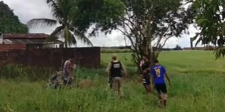 MAL EXEMPLO -Polícia Civil investiga coronel reformado da PM suspeito de matar vaca e égua a tiros, na Paraíba